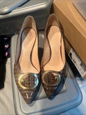 Casadei Brown Croc-Embossed Pointed Toe Pumps with Gold Buckle